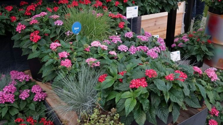 Der Marketingtag liefert Impulse für den Erfolg. Bild: GABOT.