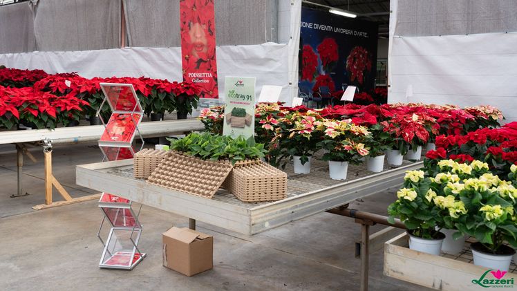 Impressionen von den Open Days bei Lazzeri. Bild: Lazzeri.