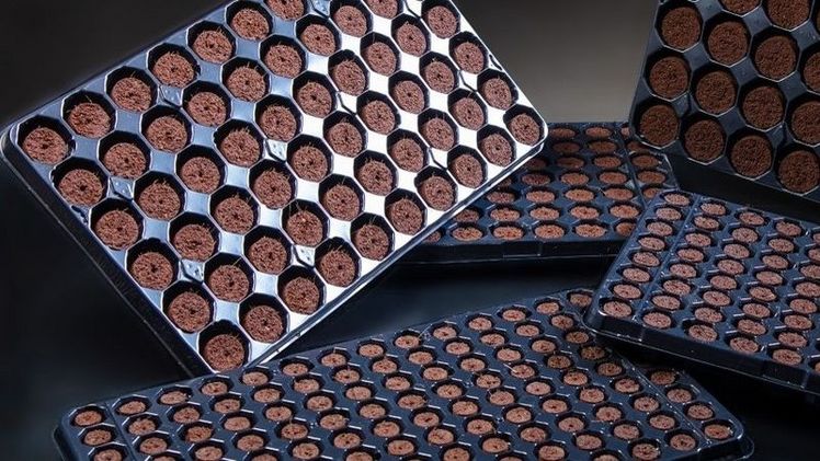 Durch die Kombination des Know-hows und der innovativen Produkte von Quick Plug und Profile sind die Kunden in der Lage, optimale Kultursubstratlösungen zu entwickeln. Bild: Dümmen Orange.