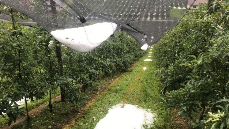Teilweise golfballgroße Hagelkörner hinterließen vielerorts ein Bild der Verwüstung. Bild: Österreichische Hagelversicherung.