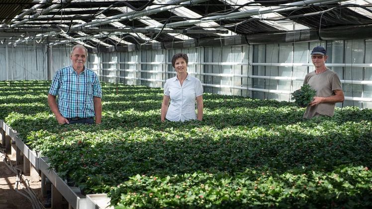 Franz-Willi Honnen (links), Geschäftsführer Gärtnerische Betriebshelfergemeinschaft, und Dr. Anke Schirocki (Mitte), Geschäftsführerin Agrobusiness Niederrhein, treffen den Betriebshelfer Ulrich Nent bei seinem Einsatz im Gartenbaubetrieb. (Agrobusiness Niederrhein)