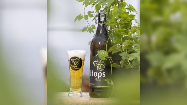 RiPlant verbreitet Hoptimismus. Bild: RiPlant.