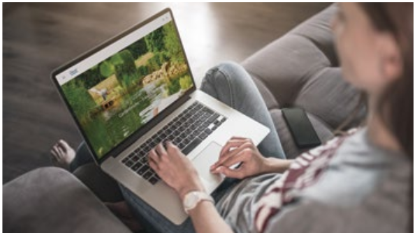 Das  leichte,  schnelle  und  informative  Surfen  durch  die  neuen  Seiten  von  OASE  spiegelt  die  Unternehmensphilosophie  wider.  Bild: OASE.