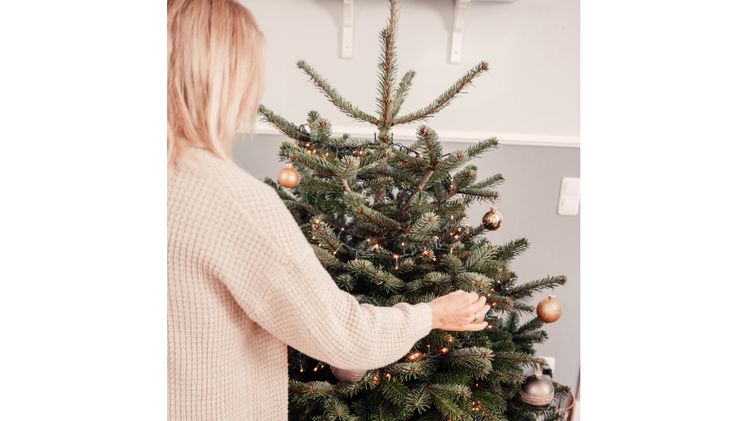 Studie zum Kaufverhalten von Weihnachtsbäumen belegt: Die jüngeren Generationen kaufen lieber Naturbäume. Foto: ICH&ER Media.