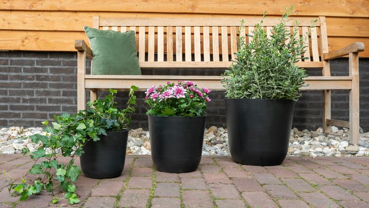 Palermo von Ter Steege. Bild: Ter Steege BV.