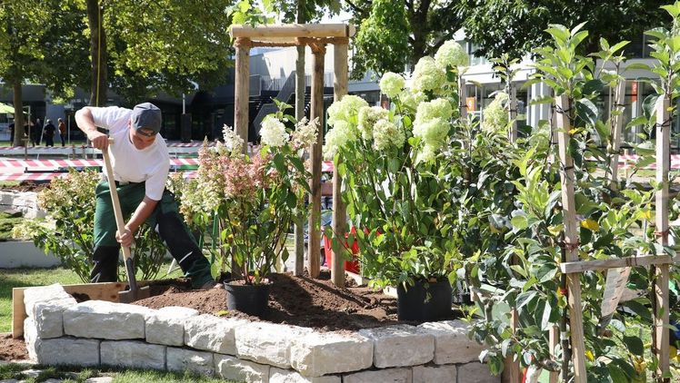Die Ausbildung im Beruf Landschaftsgärtner/in ist bei Jugendlichen und jungen Erwachsenen beliebter denn je. Bild: Jochen Henning, VGL Bayern. Die Ausbildung im Beruf Landschaftsgärtner/in ist bei Jugendlichen und jungen Erwachsenen beliebter denn je. Bild: Jochen Henning, VGL Bayern.