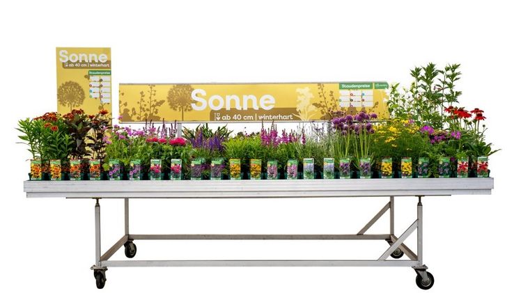 Neues Verkaufshilfensystem für die Staudenpräsentation am POS. Bild: Stauden Ring.