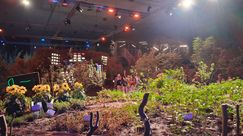 Impressionen von den Genter Floraliën. Bild: GABOT.
