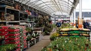 Gartencenter könnten in Niedersachsen wieder öffnen... Bild: GABOT.