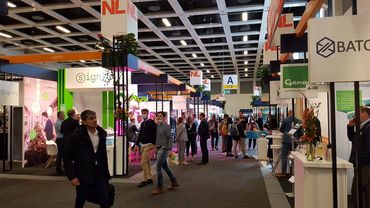 Impressionen von der FRUIT LOGISTICA. Bild: GABOT.