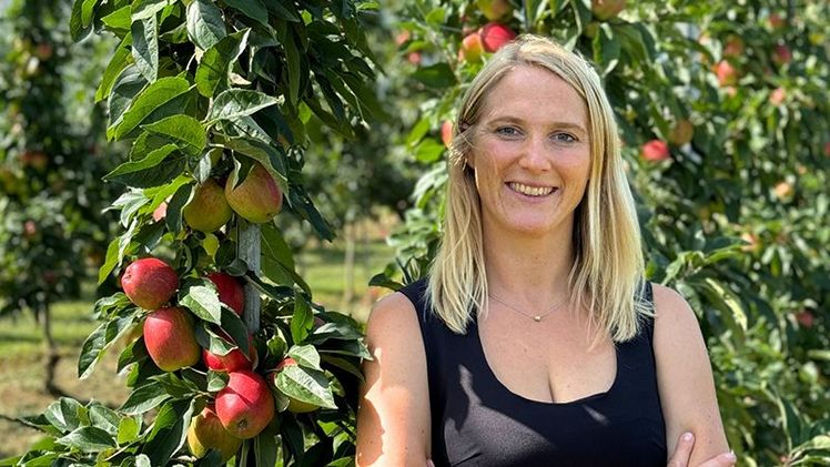 Prof. Dr. Inga Mohr. Bild: DHBW Ravensburg.