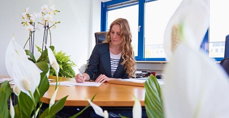 Unternehmen profitieren von „Grünen Wohlfühlfaktoren“: Büropflanzen haben einen messbaren Einfluss auf die Gesundheit, die Motivation und die Leistungsbereitschaft der Mitarbeitenden. Bild: GMH/FvRH.