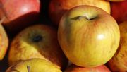 Der Apfel gehört zu den sogenannten Scheinfrüchten. Bild: lid.