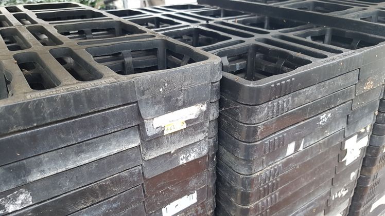 Palettinos sind Mehrweg-Warenträger aus Spritzguss-Kunststoff für den Transport und die Kultur von Topfpflanzen. Bild: GABOT.