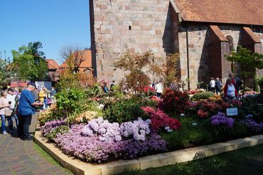 Impressionen von der RHODO 2023. Bild: GABOT.