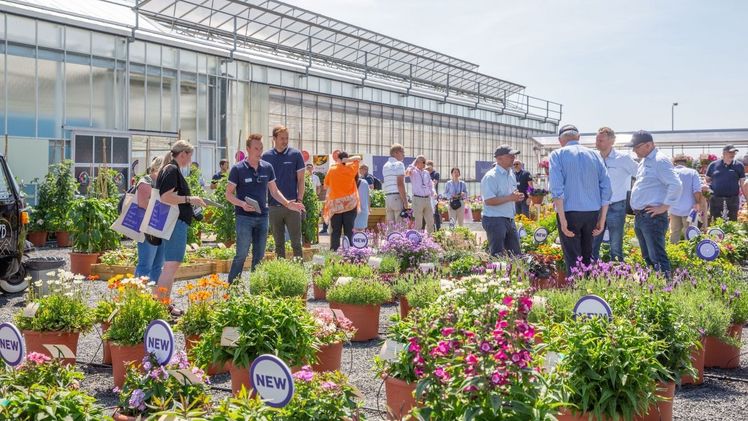 Die FlowerTrials® 2023 sind von Dienstag, 13. bis Freitag, 16. Juni geöffnet. Bild: FlowerTrials.