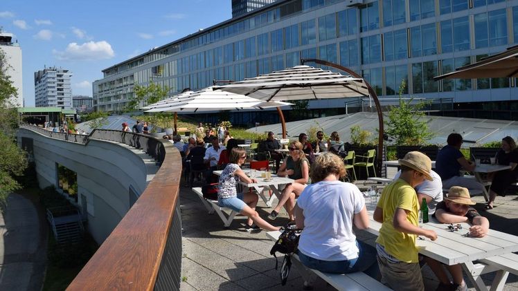 BuGG on tour! Gründach-Forum 2018. Bild: BuGG.