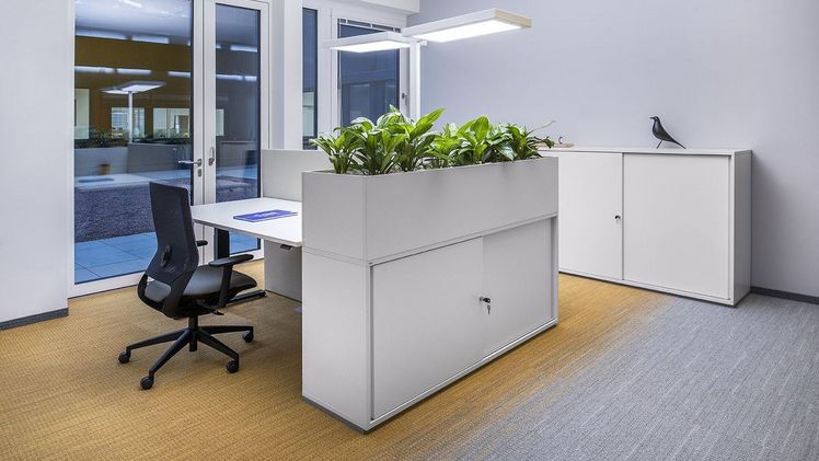Als Aufsatzmodul kann die Evergreen Blumenwanne für mehr Privatsphäre bei den Arbeitsplätzen sorgen. Bild: © hali GmbH. 