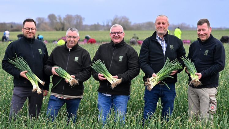 Im Team geben die Europameister im Bundzwiebelanbau jetzt wieder Vollgas: Damit der Handel und die bundesweiten Verbraucher das erste Frischgemüse aus heimischem Freilandanbau nachhaltig genießen können, werden Bundzwiebeln jetzt täglich bis in den Oktober/November im Gemüsegarten Pfalz geerntet. Mit einer Anbaufläche von bis zu 2.500 Hektar in der Saison ist die Pfalz das Anbaugebiet Nummer 1 in Europa. Bild: Gemüsegarten Pfalz.