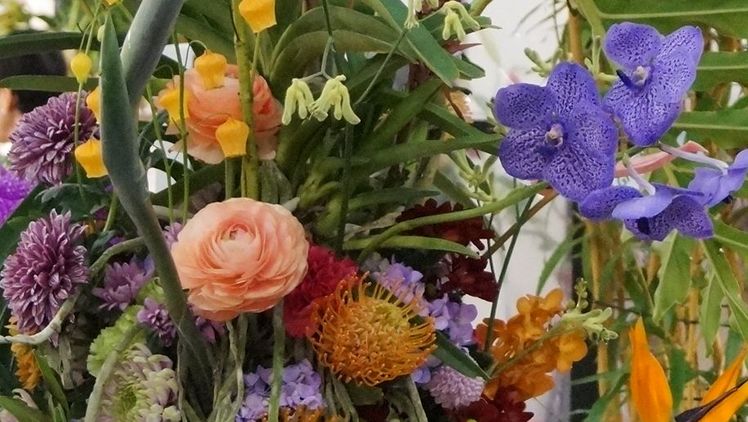 31. Wettkampf um die "Silberne Rose". Bild: GABOT.