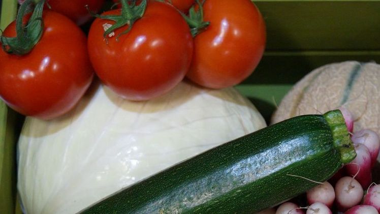 Ein Viertel des Gemüseanbaus in Schleswig-Holstein nach ökologischen Produktionsmethoden. Bild: GABOT.