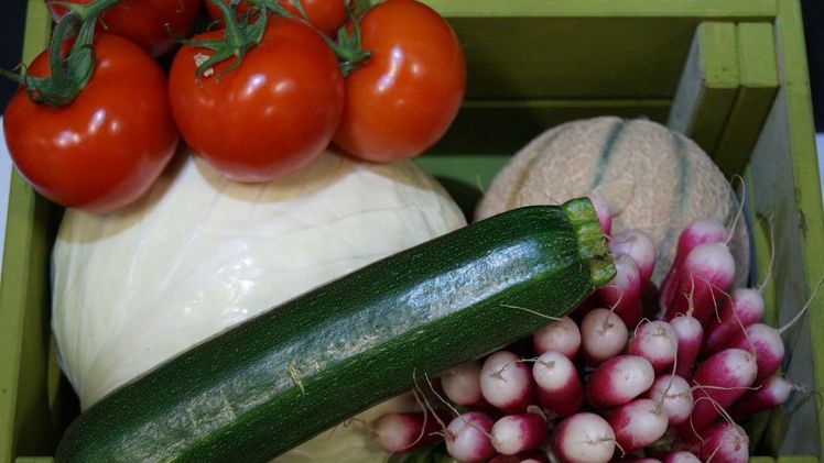 Eine neue Vereinbarung erlaubt eine Fortführung des Handels mit Bio-Produkten ohne Unterbruch. Bild: GABOT.