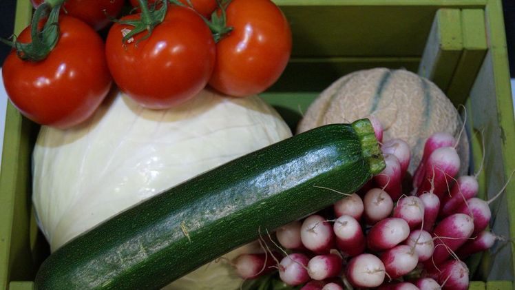 Obst, Gemüse, Saft und Eier: EU-Kommission will gesündere Ernährung erleichtern. Bild: GABOT.