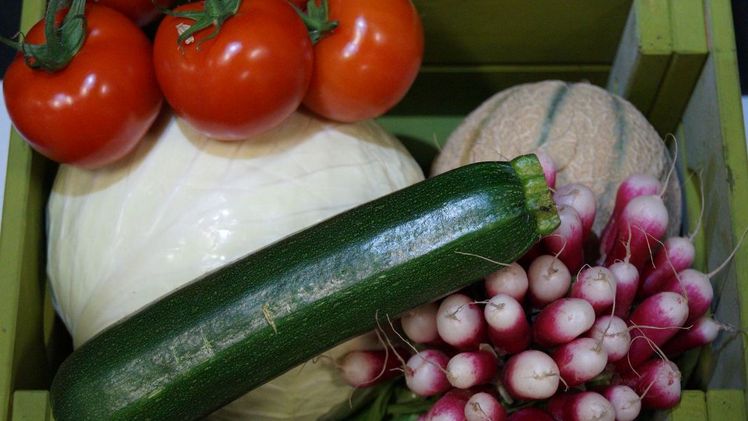Im Obst- und Gemüsebau ist Handarbeit nach wie vor unverzichtbar, wodurch ein hoher Bedarf an Arbeitskräften entsteht. Bild: GABOT.