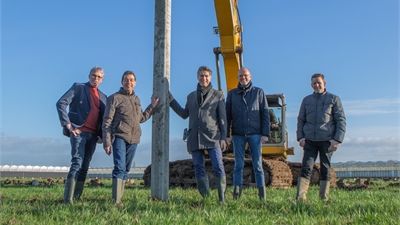 Deliflor Hoogveld setzt den ersten Pfahl des neuen, innovativen Unternehmens. Bild: Deliflor.