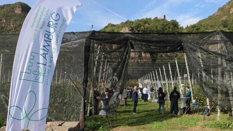 14 Unternehmen, Start-Ups und Forschungseinrichtungen testen im Freilandlabor Obstbau ihre Technologien. Bild: © Laimburg Research Centre/agnese martinelli.