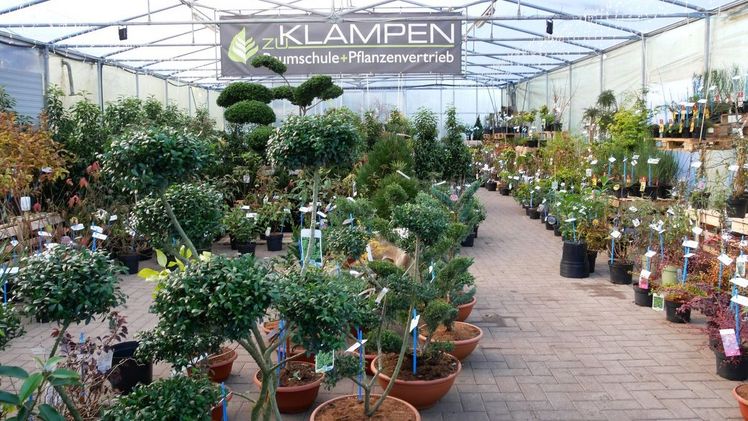 Besonders interessant ist auch in diesem Jahr der Ausbindegarten, der bei zu Klampen immer mehr in den Fokus rückt. Bild: zu Klampen.