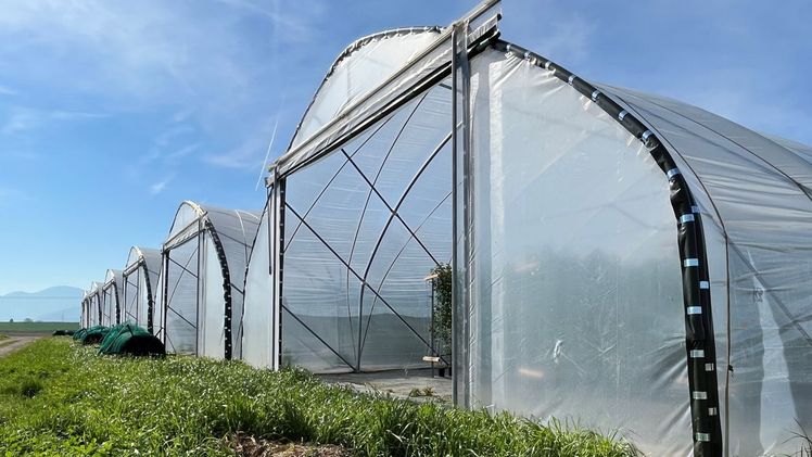 Innovative Lösungen der Gartenbau-Versicherung. Bild: Gartenbau-Versicherung.