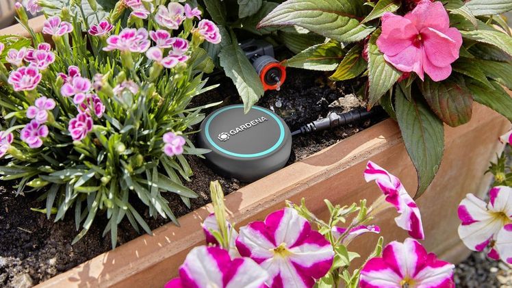 Der neue GARDENA Bodenfeuchtesensor ermittelt den Feuchtigkeitsgehalt im Boden und ermöglicht so eine sparsame und bedarfsgerechte Bewässerung – für gesunde und schöne Pflanzen. Bild: GARDENA.