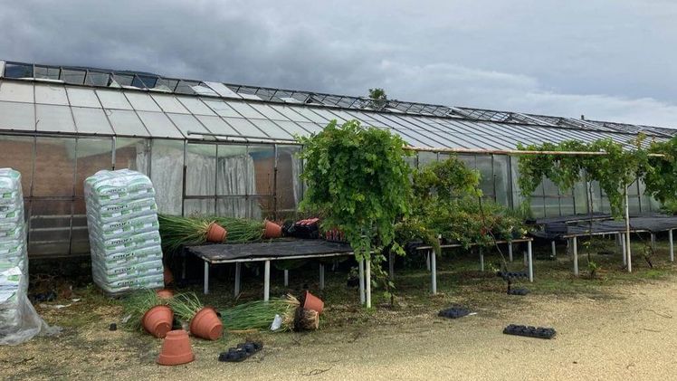 Sturmschäden bei einem Gewäschshaus. Bild: Österreichische Hagelversicherung.