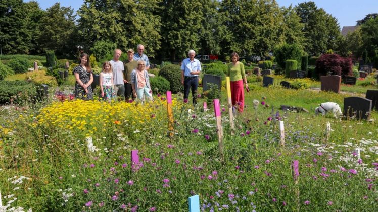 Kleine Blühoasen hauchen Friedhöfen Leben ein, so auch dem Friedhof in Asendorf (Niedersachsen). Bild: © Mehr Leben auf dem Friedhof.