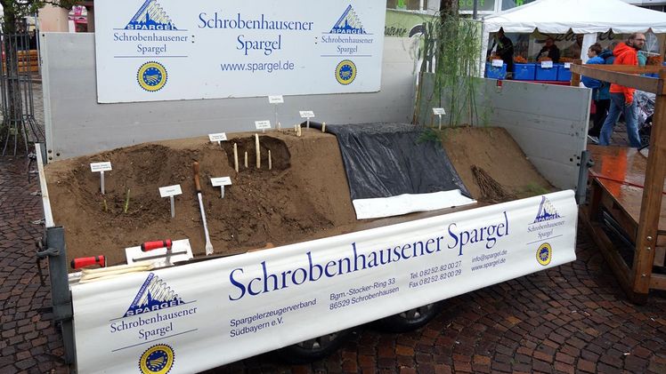 Schrobenhausener Spargel. Bild: Spargelerzeugerverbandes Südbayern e.V..
