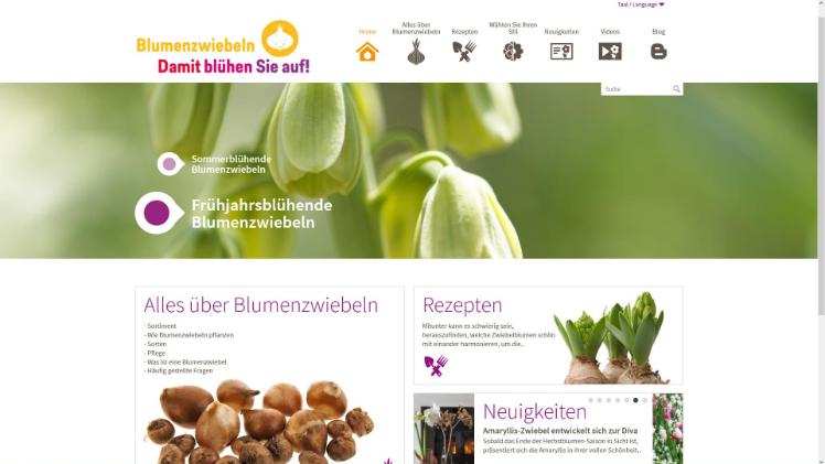 Die neue Webseite für Deutschland. Bild: iBulb.