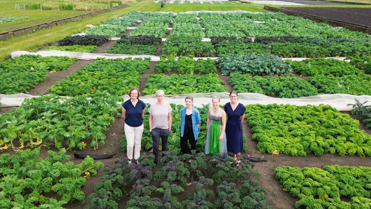 Kick-off der zweiten Projektphase. V.l.n.r.: Dr. Katja Witzel (IGZ), Prof. Dr. Evelyn Lamy (UKF), Maria von Dewitz (Projektträger: VDI/VDE Innovation + Technik GmbH), Dr. habil. Franziska S. Hanschen und Vanda Púčiková (IGZ). Bild: J. Vogt, IGZ.