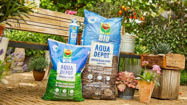 Effektive Lösungen für den ganzen Garten: Die torffreie Universalerde mit Wasserspeichergel, der leistungsstarke Universaldünger mit Kalium und Aminosäuren sowie der Rasendünger mit Sofort- und Langzeitwirkung unterstützen Pflanzen und Rasenflächen zuverlässig gegen Trockenstress. Bild: COMPO GmbH.