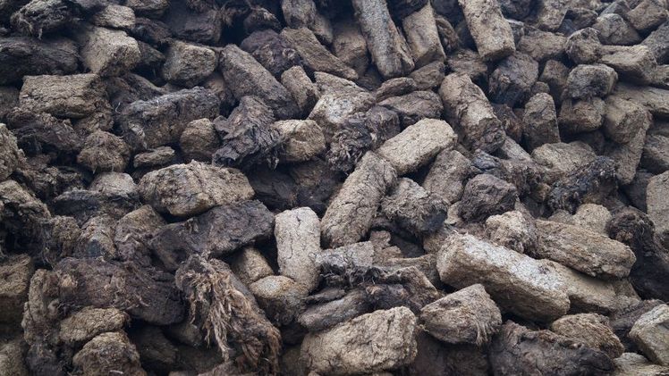 Die Änderung des Agrarstatistikgesetzes wirkt sich auch beim Torfabsatz aus. Bild: GABOT.