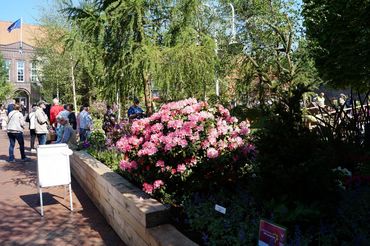 Impressionen von der RHODO 2023. Bild: GABOT.