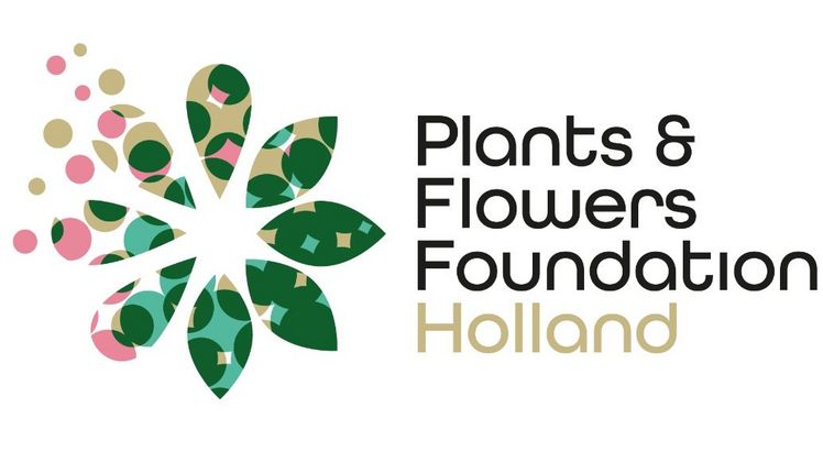 Plants & Flowers Foundation Holland ist der Marketing- und Kommunikationsexperte, wenn es darum geht, Pflanzen und Blumen an die Verbraucher zu bringen.