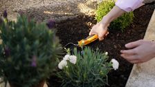 Jeder Vierte ist dabei: Wie Urban Gardening deutsche Städte erobert. Bild: © STIGA GmbH.