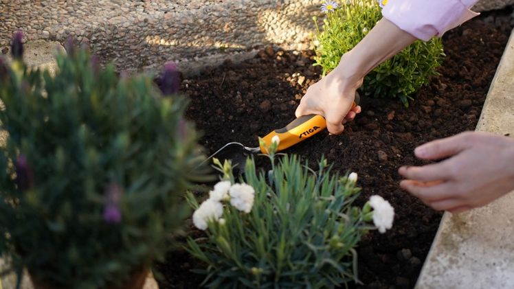 Jeder Vierte ist dabei: Wie Urban Gardening deutsche Städte erobert. Bild: © STIGA GmbH.