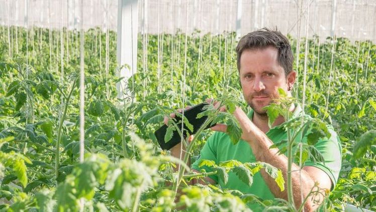 Gemüsegärtner Pascal Gutknecht nutzt die Sozialen Medien, um seine Kundschaft im Hofladen für frische, regionale Produkte zu begeistern. Bild: lid.
