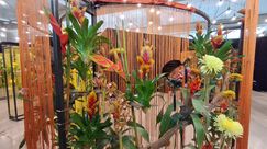 Impressionen von den Genter Floraliën. Bild: GABOT.