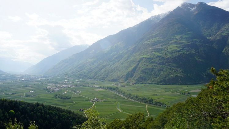 Das untere Vinschgau ist geprägt von Apfelplantagen. Bild:  RPTU, Carsten Brühl.