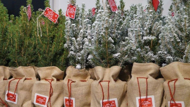 Das Weihnachtsgeschäft ist der Umsatzbringer für den Einzelhandel. Bild: GABOT.