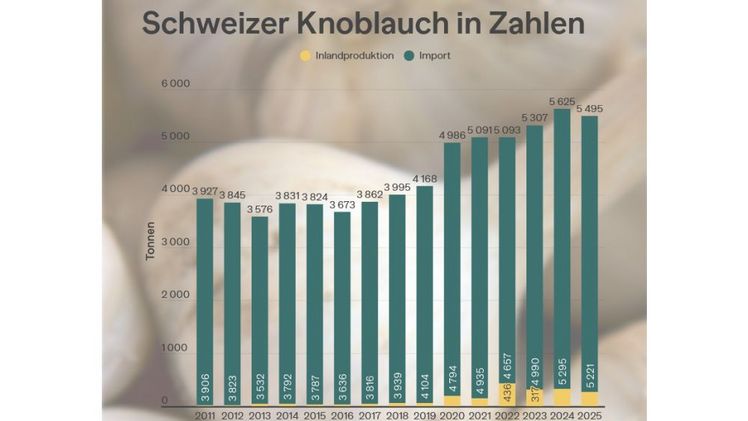 Schweizer Knoblauch in Zahlen. Grafik: lid.