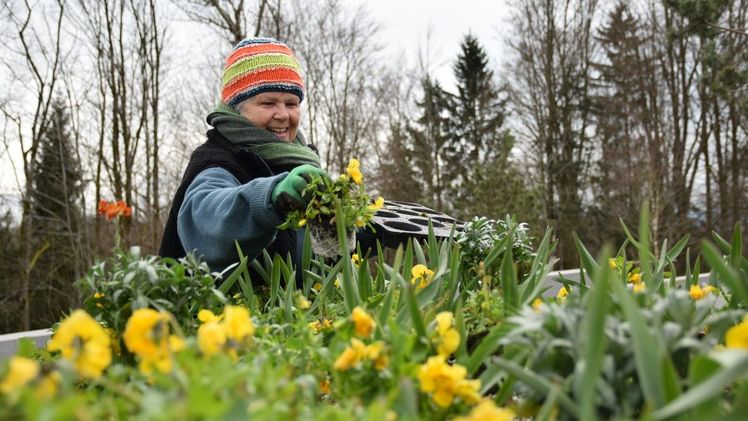 Die Landschaftsarchitektin Hanne Roth pflanzt den Sommerflor für die Bayerische Landesgartenschau auf dem Freyunger Geyersberg. Bild: © Freyung 2023 gGmbH.
